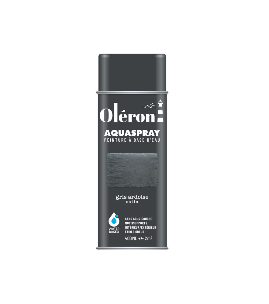 Aérosol TECHNIMA Aquaspray Oléron gris ardoise satiné 400ml Aérosol TECHNIMA Aquaspray Oléron gris ardoise satiné 400ml