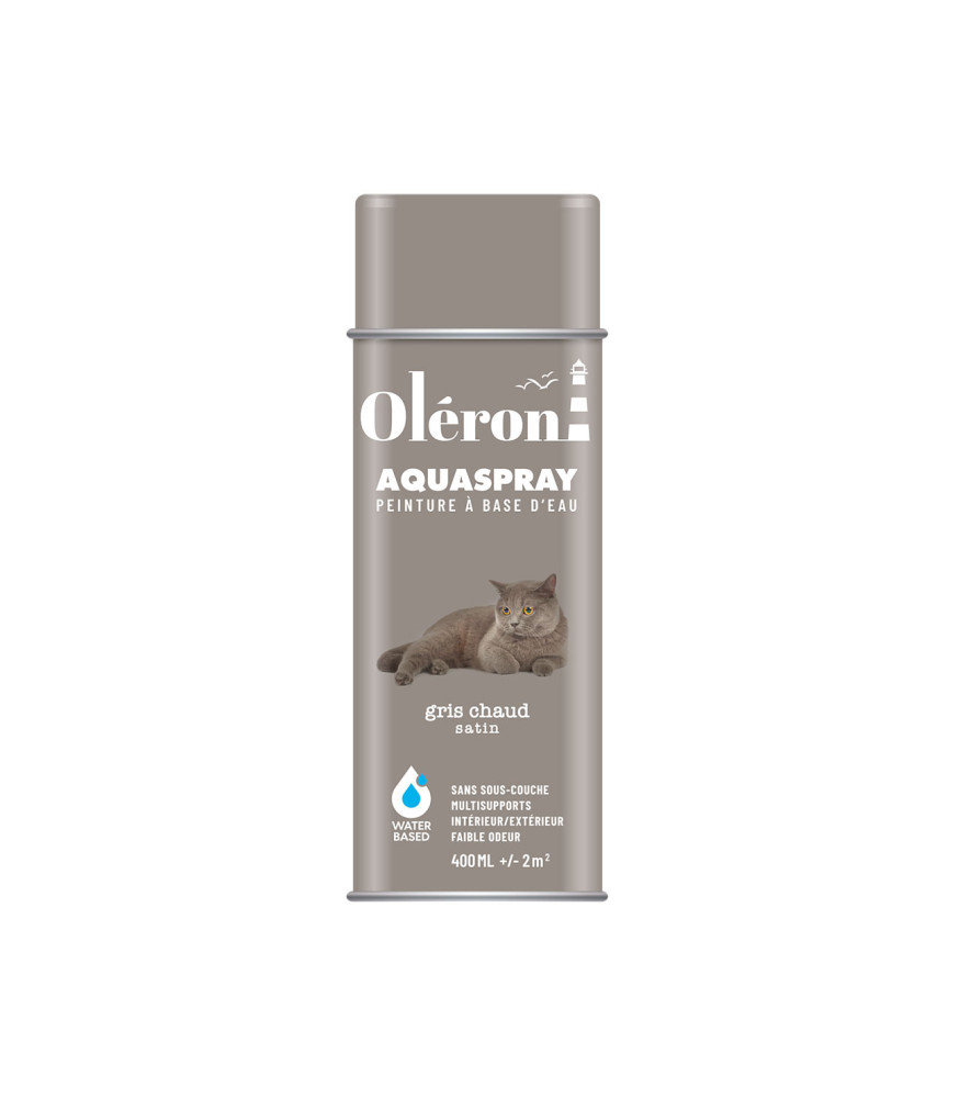 Aérosol TECHNIMA Aquaspray Oléron gris chaud satiné 400ml Aérosol TECHNIMA Aquaspray Oléron gris chaud satiné 400ml