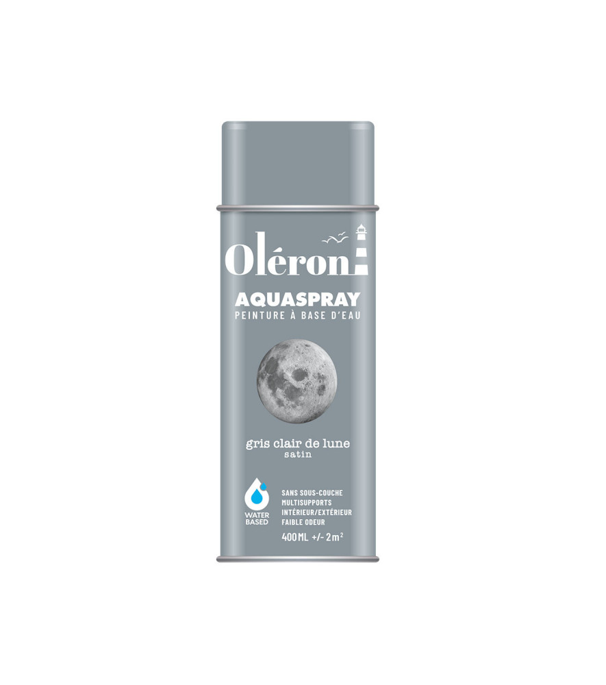 Aérosol TECHNIMA Aquaspray Oléron gris lune satiné 400ml