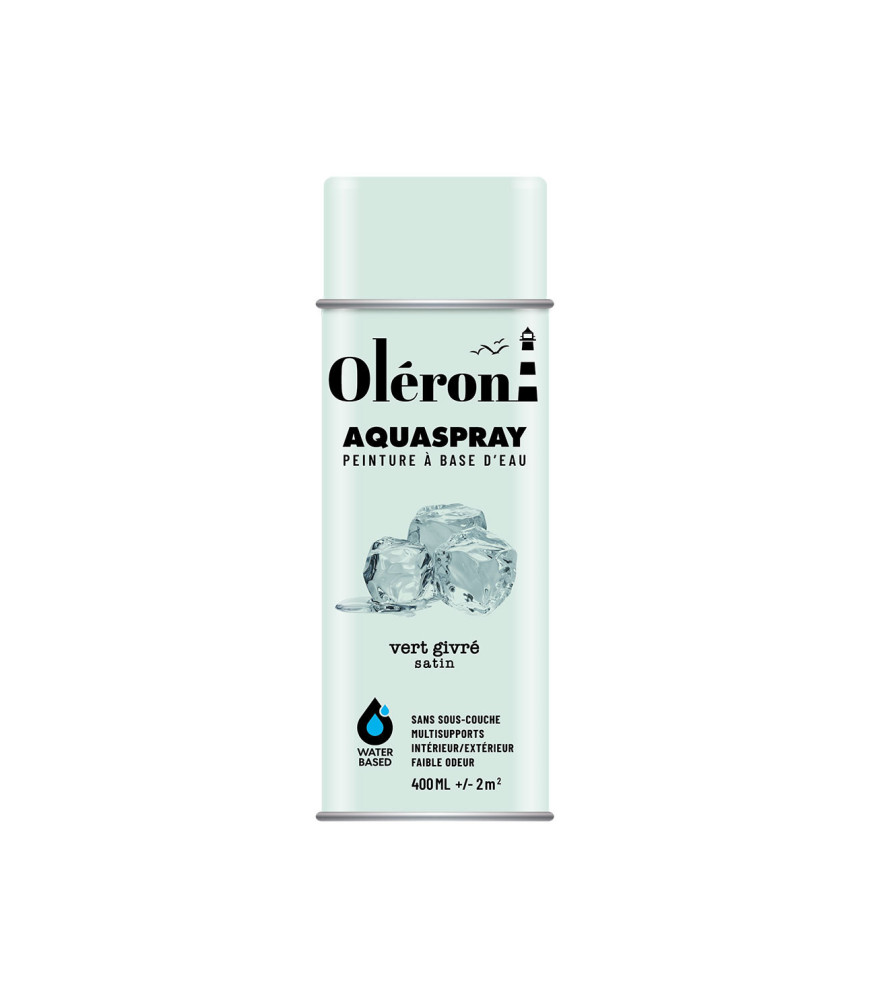 Aérosol TECHNIMA Aquaspray Oléron vert givre satiné 400ml Aérosol TECHNIMA Aquaspray Oléron vert givre satiné 400ml