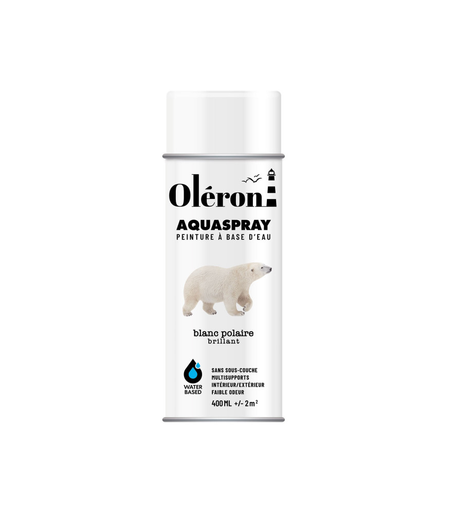 Aérosol TECHNIMA Aquaspray Oléron brillant blanc polaire 400ml Aérosol TECHNIMA Aquaspray Oléron brillant blanc polaire 400ml