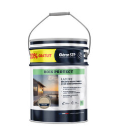 TECHNIMA Oléron Lasure Bois Protect incolore 5L+20% gratuit