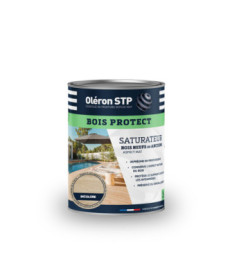 TECHNIMA Oléron Saturateur Bois Protect incolore 1L