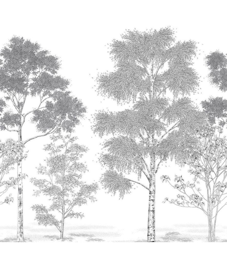 Panoramique CASELIO Balade BLD106169001 Panoramique CASELIO Balade BLD106169001