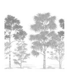 Panoramique Caselio Collection BALADE POESIE PRINTANIERE BLD106169006 250x250cm Noir