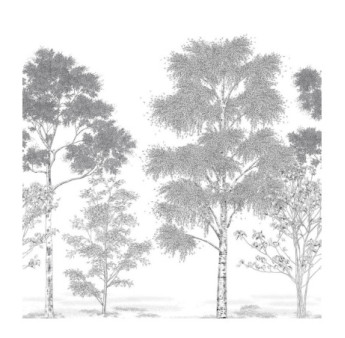 Panoramique Caselio Collection BALADE POESIE PRINTANIERE BLD106169006 250x250cm Noir