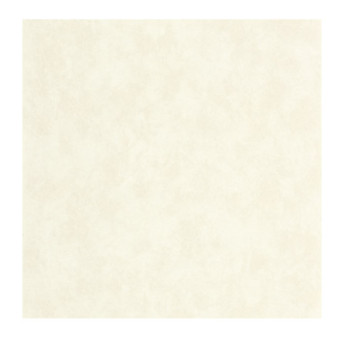 Papier Peint CASADECO Echappée Belle ECHA89851010