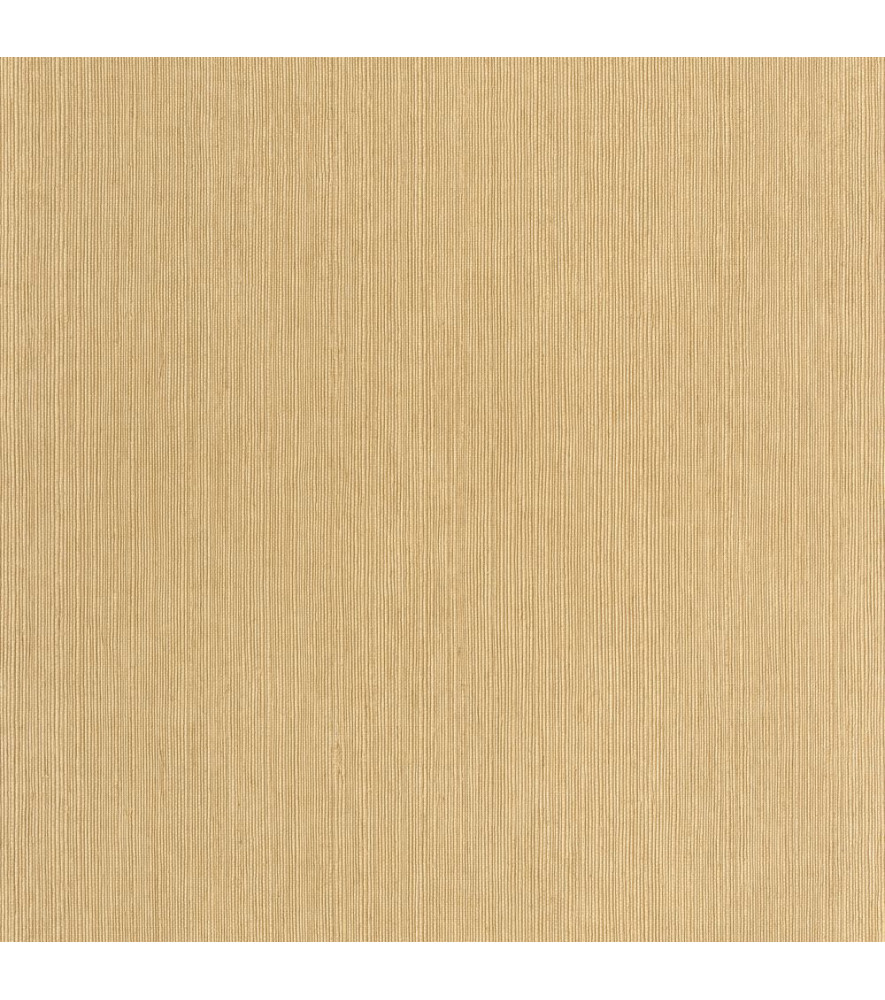 Papier Peint CASELIO Matières MMT106011403 Papier Peint CASELIO Matières MMT106011403