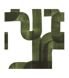 Panoramique Collection WONDERWALLS WDWS88477503 Abstract Vert Kaki 200x280cm