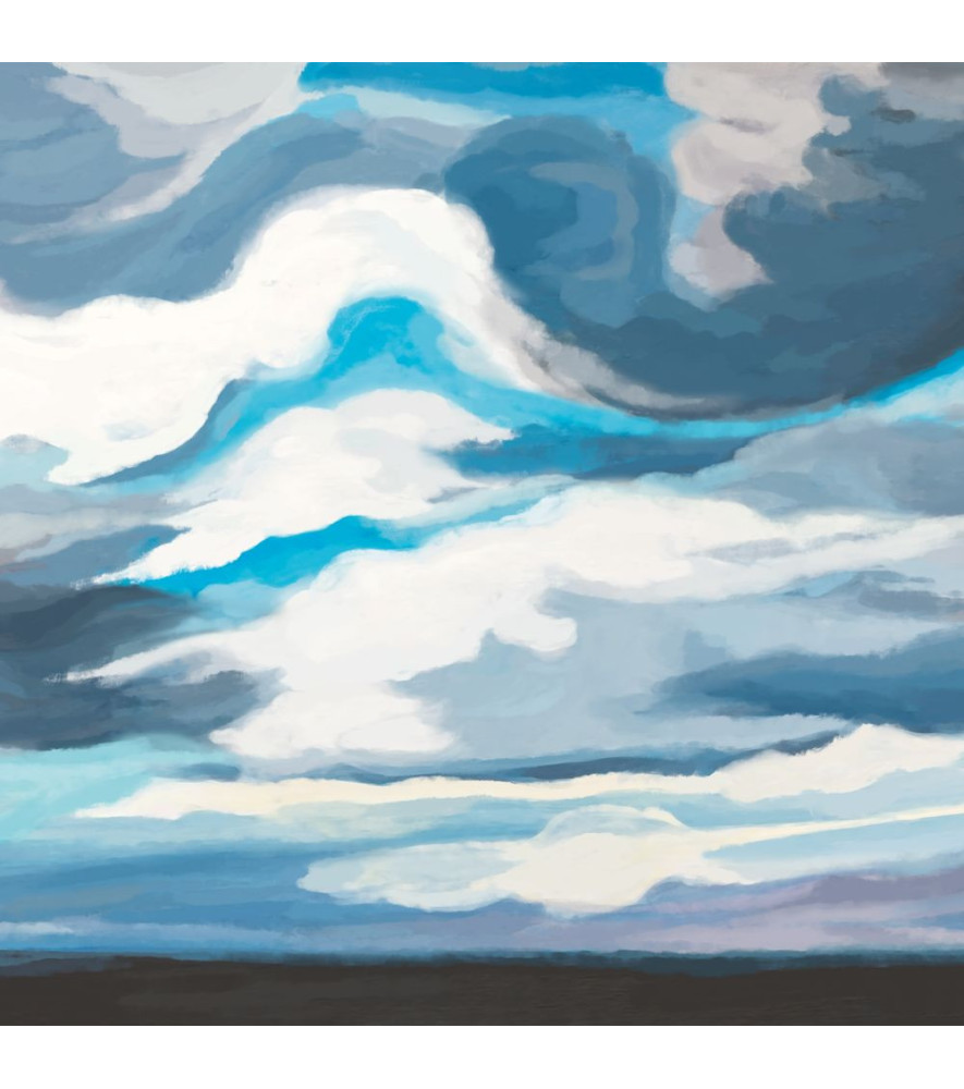 Panoramique Collection WONDERWALLS WDWS88886210 Cirrus Bleu Nuage 400x250cm