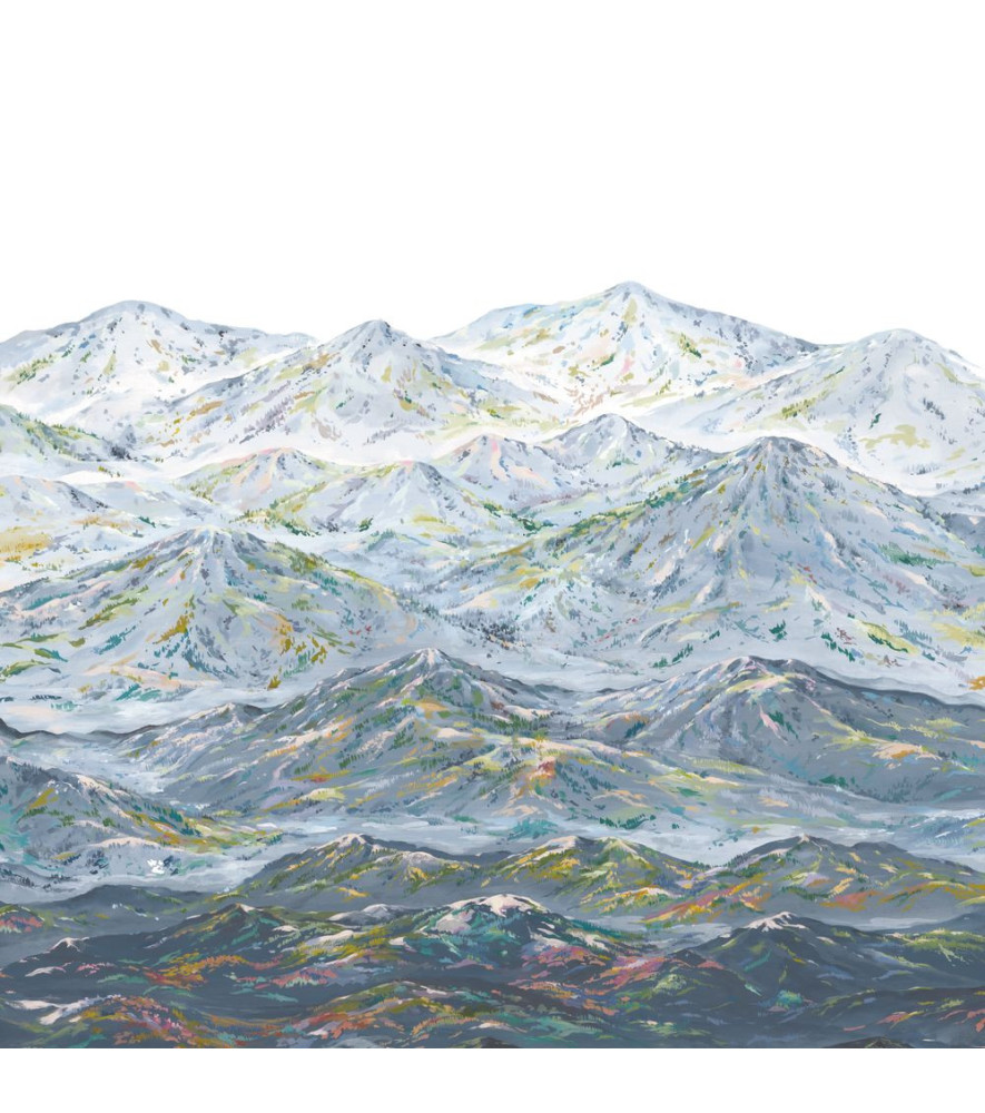 Panoramique Collection WONDERWALLS WDWS88916707 Les Rocheuses Bleu Grise 300x250cm Panoramique Collection WONDERWALLS WDWS88916707 Les Rocheuses Bleu Grise 300x250cm