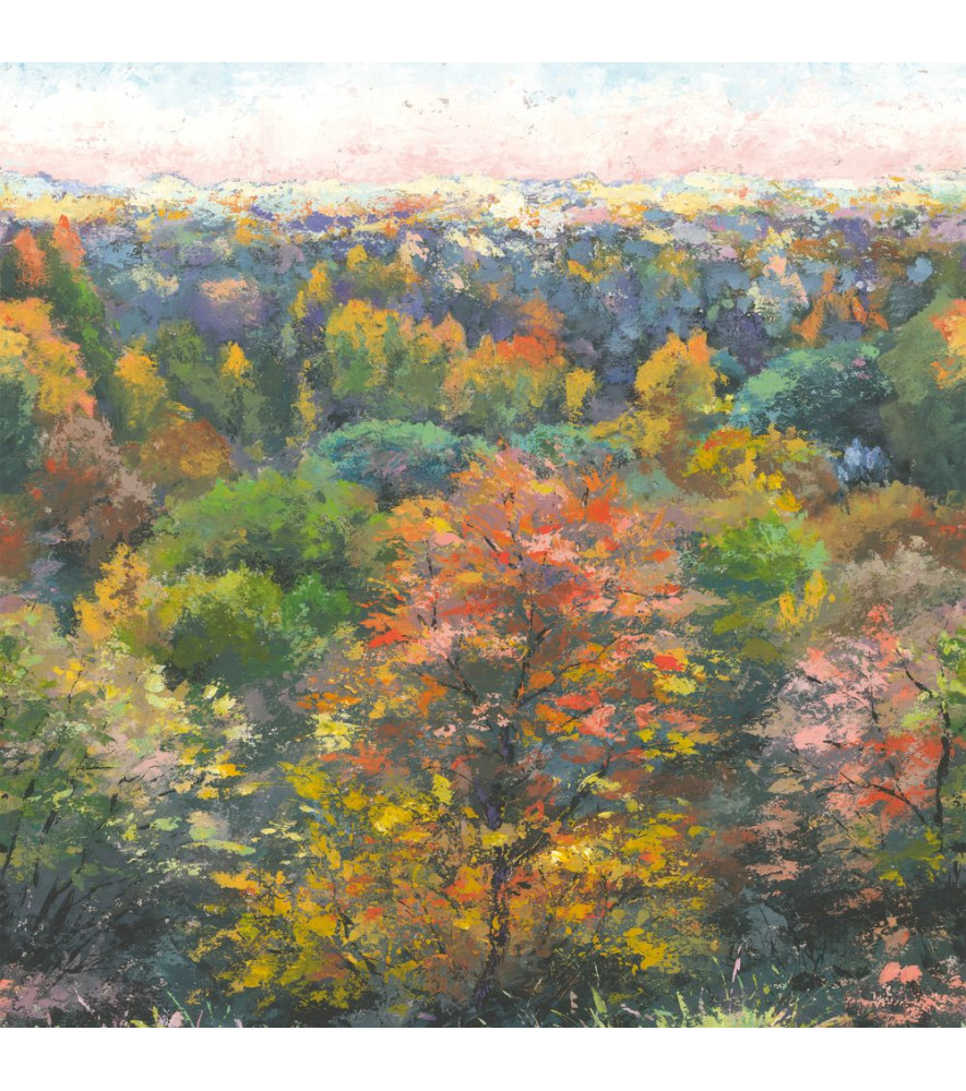 Panoramique Collection WONDERWALLS WDWS88973703 Indian Summer October 200x280cm Panoramique Collection WONDERWALLS WDWS88973703 Indian Summer October 200x280cm