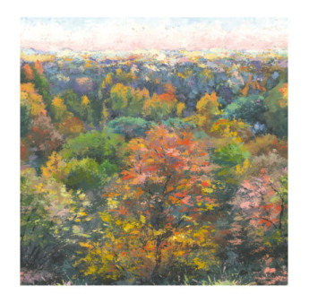 Panoramique Collection WONDERWALLS WDWS88973703 Indian Summer October 200x280cm