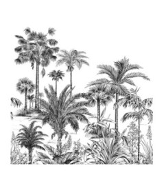 Panoramique Collection WONDERWALLS WDWS89129303 Nicoya Noir Fusain 200x280cm