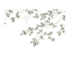 Panoramique Collection WONDERWALLS WDWS89137507 Calming Leaves Vert Lichen 300x250cm