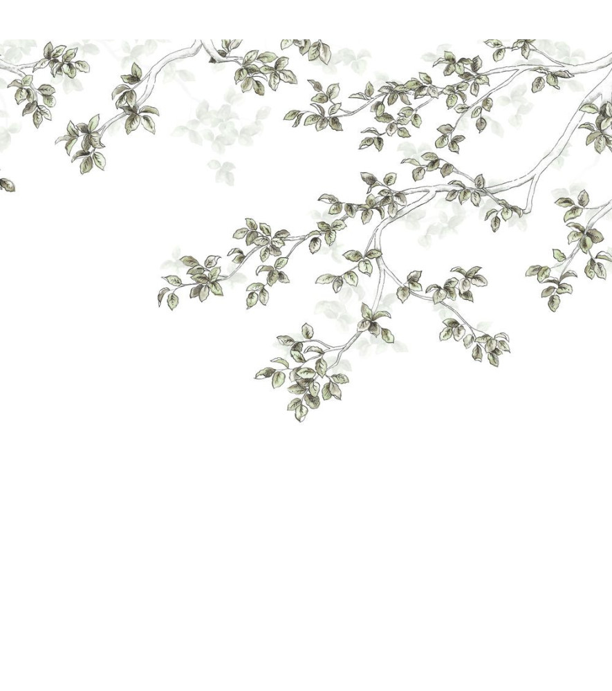 Panoramique Collection WONDERWALLS WDWS89137507 Calming Leaves Vert Lichen 300x250cm