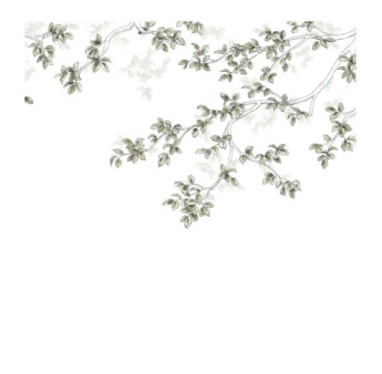 Panoramique Collection WONDERWALLS WDWS89137507 Calming Leaves Vert Lichen 300x250cm