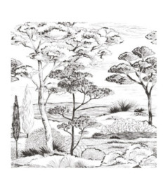Panoramique Collection WONDERWALLS WDWS89159003 Piana Gravure 200x280cm