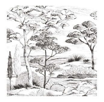Panoramique Collection WONDERWALLS WDWS89159003 Piana Gravure 200x280cm