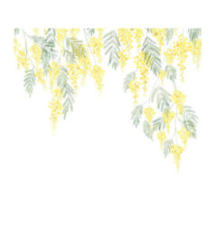 Panoramique Collection WONDERWALLS WDWS89172203 Mimosa Bouton d or 200x280cm