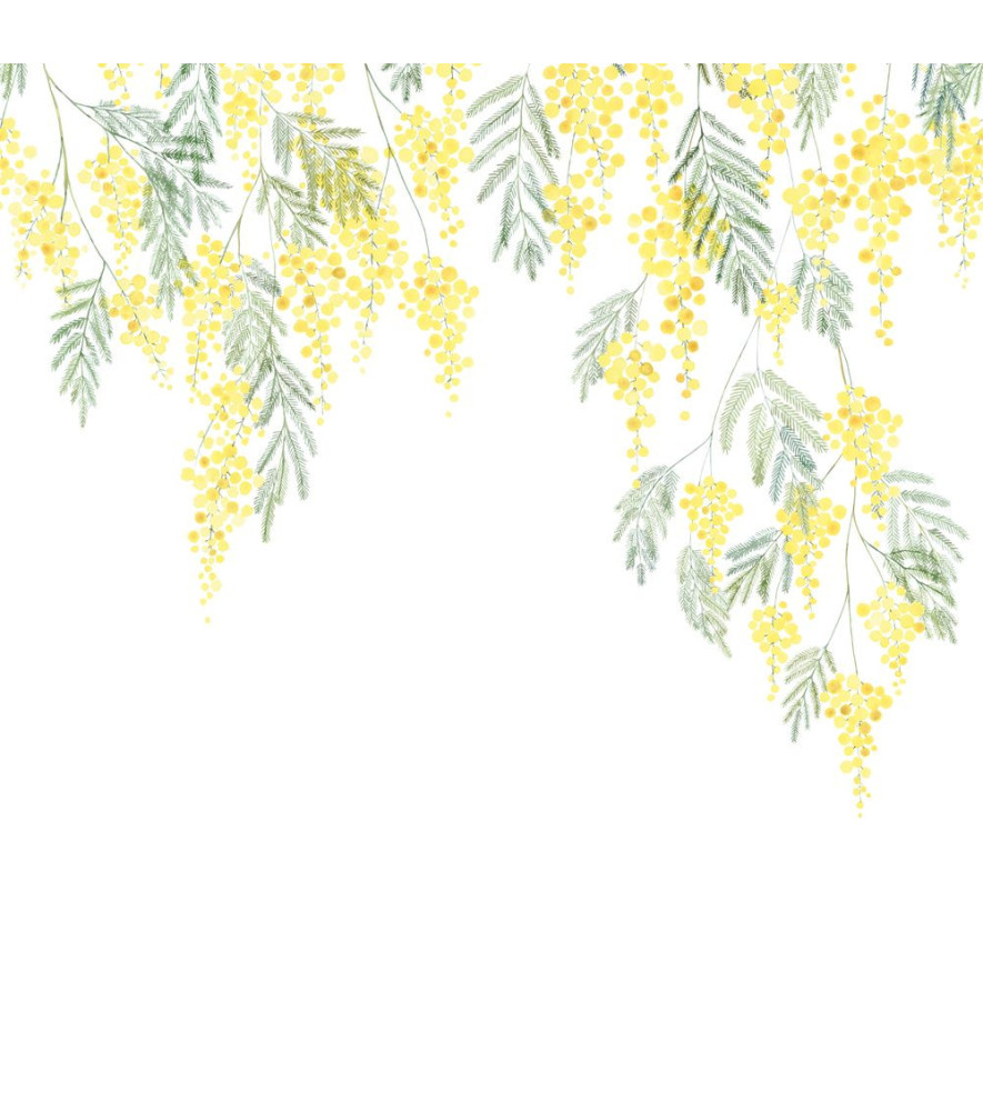 Panoramique Collection WONDERWALLS WDWS89172203 Mimosa Bouton d or 200x280cm Panoramique Collection WONDERWALLS WDWS89172203 Mimosa Bouton d or 200x280cm