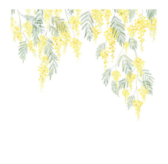 Panoramique Collection WONDERWALLS WDWS89172203 Mimosa Bouton d or 200x280cm