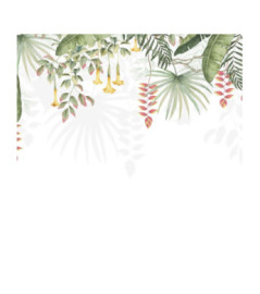 Panoramique Collection WONDERWALLS WDWS89197007 Bird Of Paradise Tropical 300x250cm