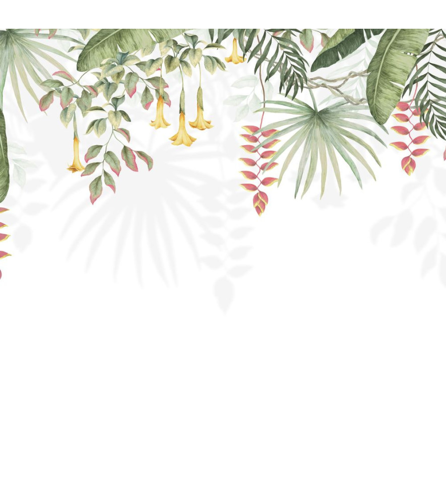 Panoramique Collection WONDERWALLS WDWS89197007 Bird Of Paradise Tropical 300x250cm Panoramique Collection WONDERWALLS WDWS89197007 Bird Of Paradise Tropical 300x250cm