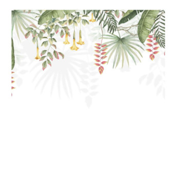 Panoramique Collection WONDERWALLS WDWS89197007 Bird Of Paradise Tropical 300x250cm