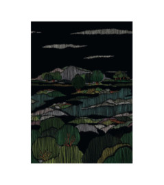 Panoramique Collection WONDERWALLS 2 WDWD200049903 Obscurite Végétale Multico 200x280cm