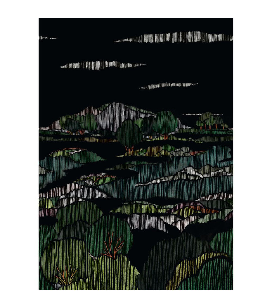 Panoramique Collection WONDERWALLS 2 WDWD200049903 Obscurite Végétale Multico 200x280cm Panoramique Collection WONDERWALLS 2 WDWD200049903 Obscurite Végétale Multico 200x280cm