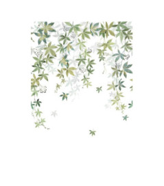 Panoramique Collection WONDERWALLS 2 WDWD200067203 Vigne En Fleur Vert Olive 200x280cm