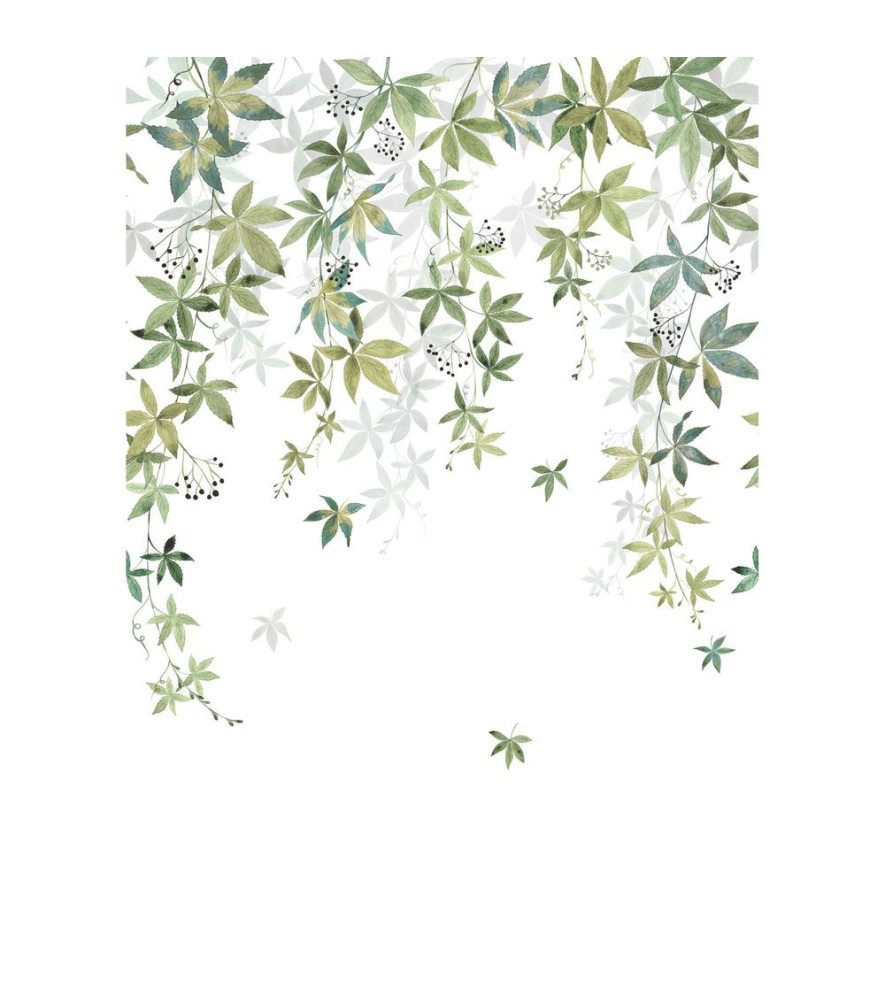 Panoramique Collection WONDERWALLS 2 WDWD200067203 Vigne En Fleur Vert Olive 200x280cm Panoramique Collection WONDERWALLS 2 WDWD200067203 Vigne En Fleur Vert Olive 200x280cm