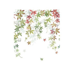 Panoramique Collection WONDERWALLS 2 WDWD200067903 Vigne En Fleur Couleur D Automne 200x280cm