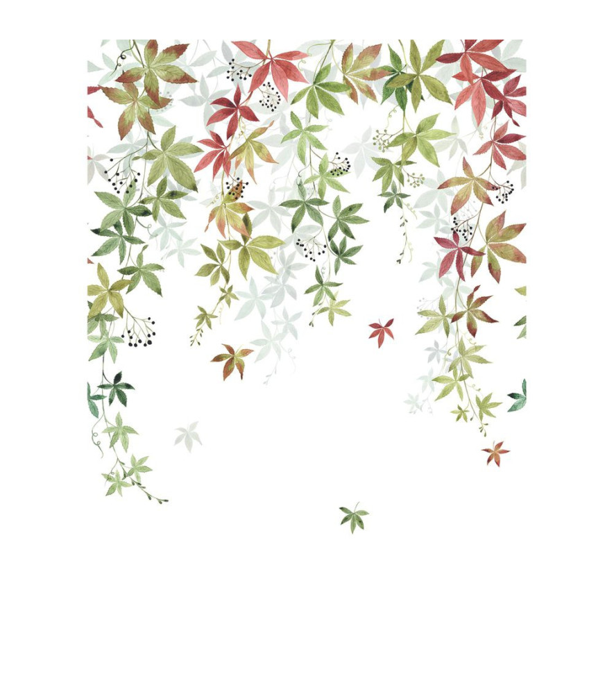 Panoramique Collection WONDERWALLS 2 WDWD200067903 Vigne En Fleur Couleur D Automne 200x280cm