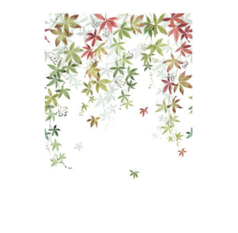 Panoramique Collection WONDERWALLS 2 WDWD200067903 Vigne En Fleur Couleur D Automne 200x280cm