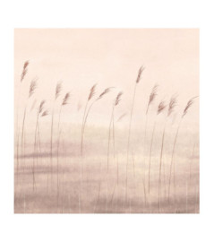 Panoramique Collection WONDERWALLS 2 WDWD200081503 Jonc Des Dunes Naturel 200x280cm