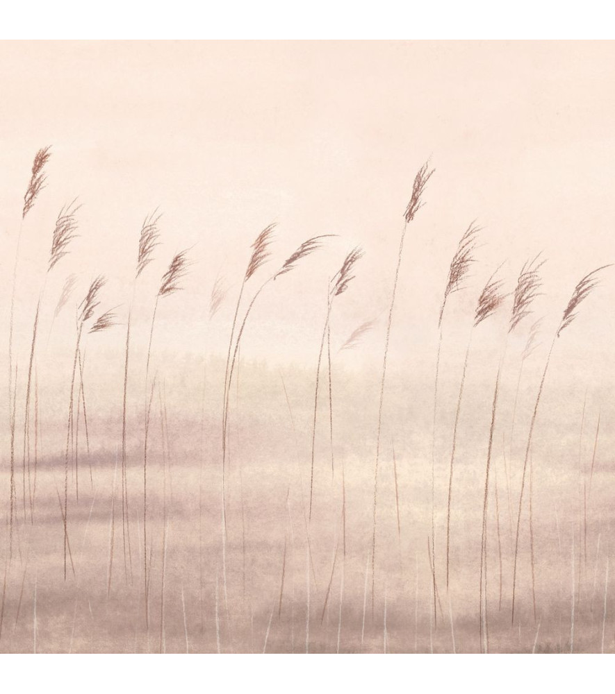 Panoramique Collection WONDERWALLS 2 WDWD200081503 Jonc Des Dunes Naturel 200x280cm Panoramique Collection WONDERWALLS 2 WDWD200081503 Jonc Des Dunes Naturel 200x280cm