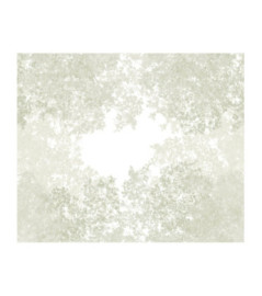 Panoramique Collection WONDERWALLS 2 WDWD200137207 Chemin Des Cimes Vert Lichen 300x250cm