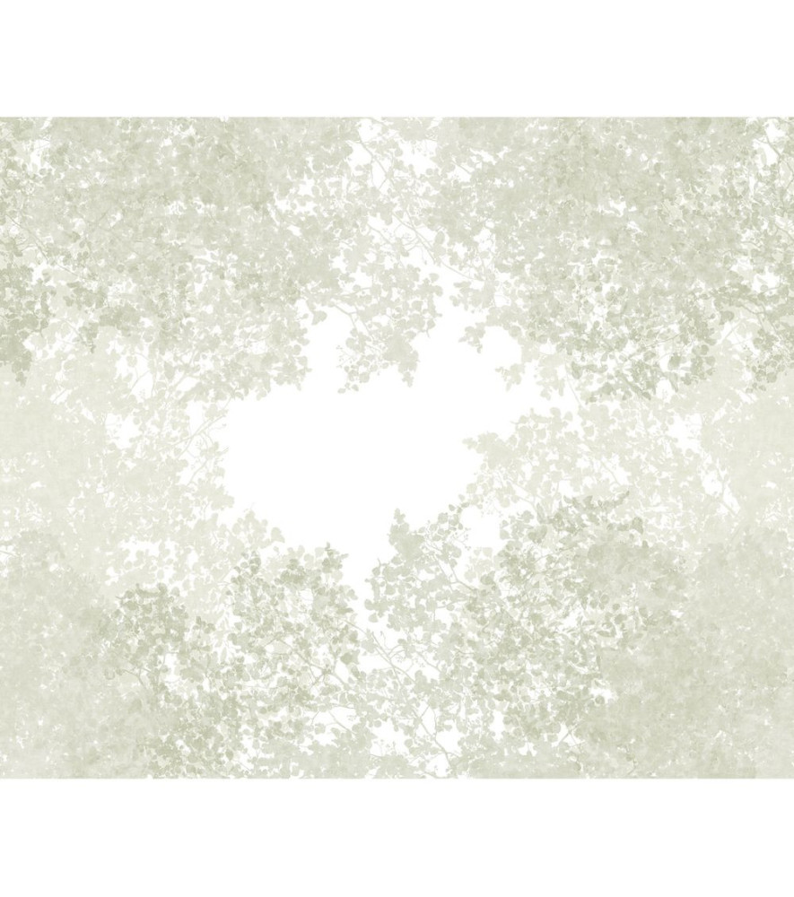 Panoramique Collection WONDERWALLS 2 WDWD200137207 Chemin Des Cimes Vert Lichen 300x250cm Panoramique Collection WONDERWALLS 2 WDWD200137207 Chemin Des Cimes Vert Lichen 300x250cm