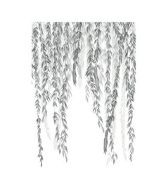 Panoramique Collection WONDERWALLS 2 WDWD200159403 Murmures d'Automne Noir Fusain 200x280cm