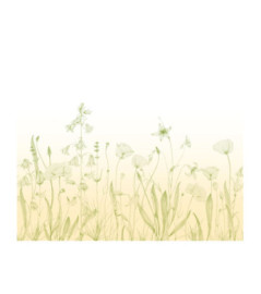 Panoramique Collection WONDERWALLS 2 WDWD200167307 Promenade Bucolique Lime 300x250cm