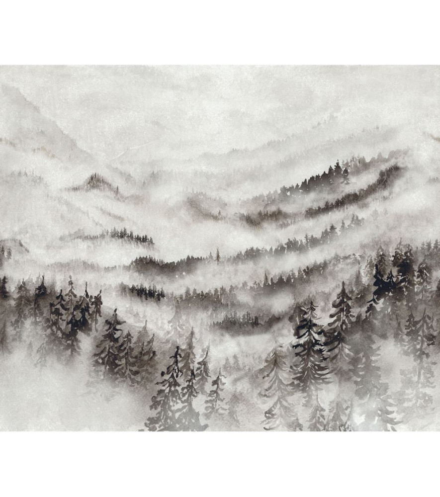 Panoramique Collection WONDERWALLS 2 WDWD200189107 Morning Mist Gris Brume 300x250cm Panoramique Collection WONDERWALLS 2 WDWD200189107 Morning Mist Gris Brume 300x250cm