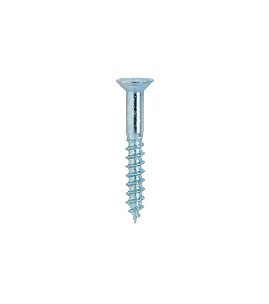 Vis plates cruciformes ROMUS  3,5x25mm