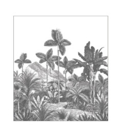 Panoramique CASELIO collection PIMP MY WALL PMW104869501 EXOTIC & IDYLLIC Noir 250x280cm