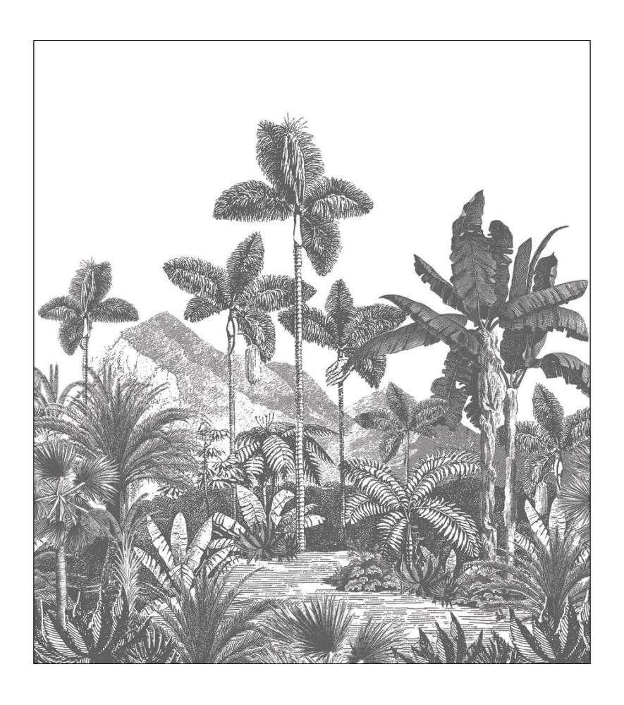 Panoramique CASELIO collection PIMP MY WALL PMW104869501 EXOTIC & IDYLLIC Noir 250x280cm Panoramique CASELIO collection PIMP MY WALL PMW104869501 EXOTIC & IDYLLIC Noir 250x280cm