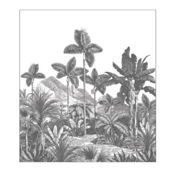 Panoramique CASELIO collection PIMP MY WALL PMW104869501 EXOTIC & IDYLLIC Noir 250x280cm