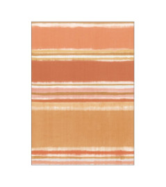 Panoramique CASELIO collection PIMP MY WALL PMW104873403 LOVELY TIE & DYE Corail 200x280cm
