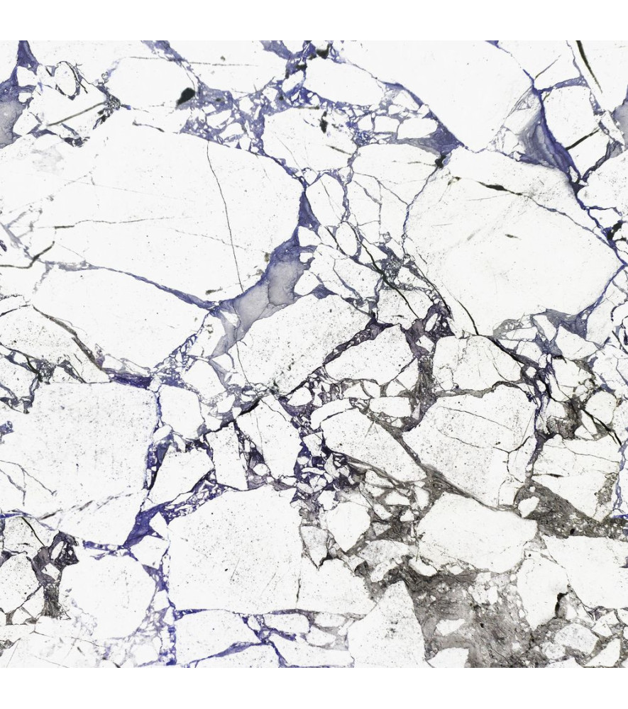 Panoramique CASADECO Collection MINERALS MNRL88130603 MARBRE CARRARE BLEU NOIR FOND BLANC 200x280cm Panoramique CASADECO Collection MINERALS MNRL88130603 MARBRE CARRARE BLEU NOIR FOND BLANC 200x280cm