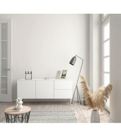DELZONGLE Prima  4053